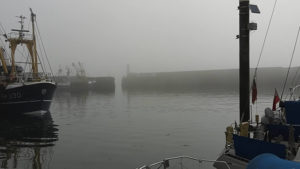 Foggy Newlyn harbour
