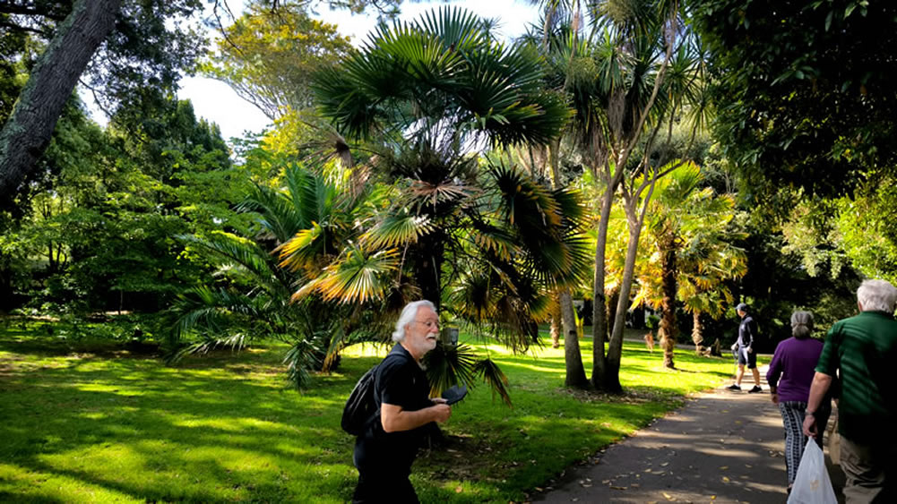 Le Penlee Park, à Penzance