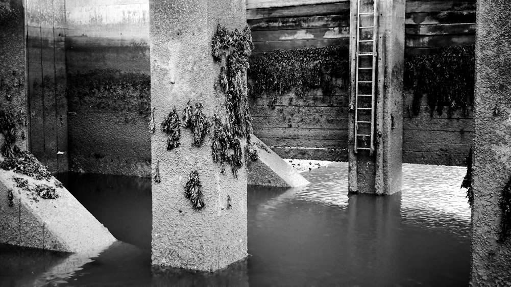 wharf